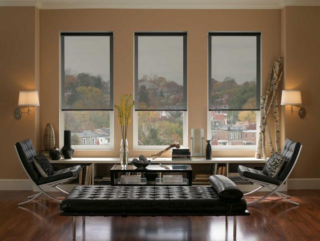 roller-blinds1%5B1%5D.jpg